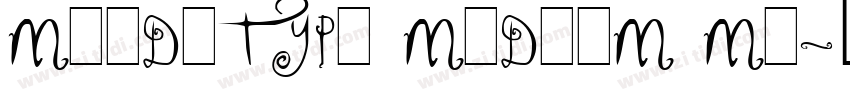 MEIDITYPE MEDIUM ME字体转换